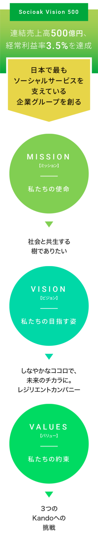 Socioak Vision 500