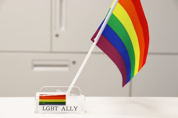 Socioak LGBT Ally